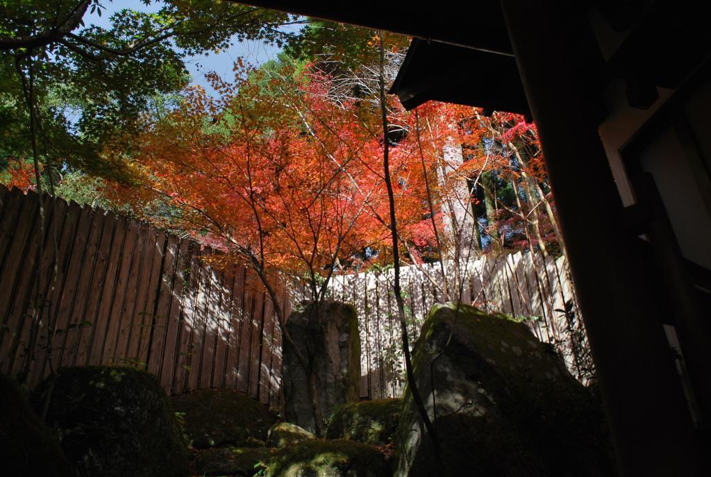 Akizuki Spa Ryokan Seiryuan Asakura  Exterior photo